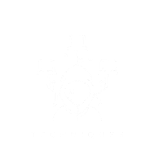 Pentesting Techniques